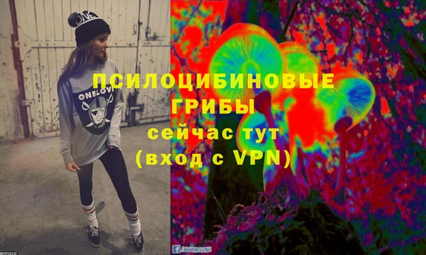 прущая мука Армянск