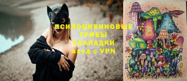 прущая мука Армянск