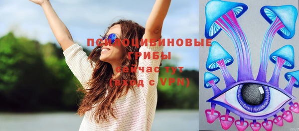прущая мука Армянск